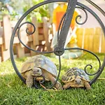 Kristina In With Private Pool, Bbq Вилла Макарска