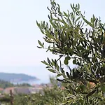 Вилла Kristina In With Private Pool, Bbq