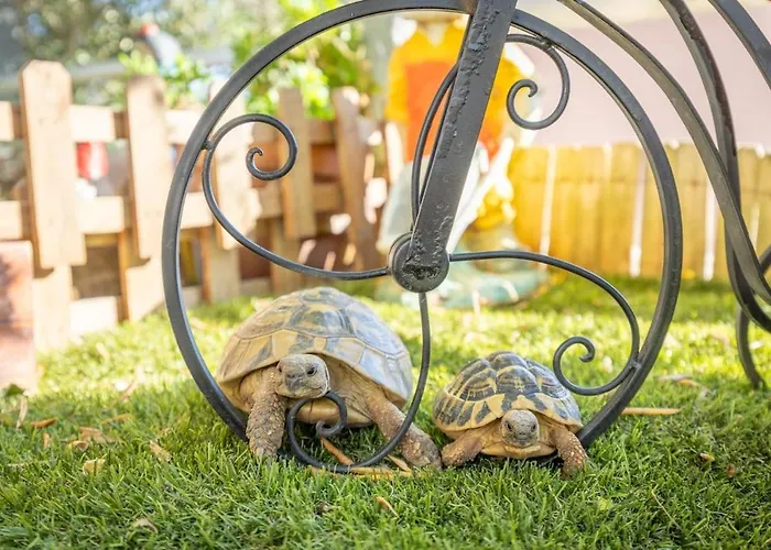 Kristina In With Private Pool, Bbq Вілла Макарська