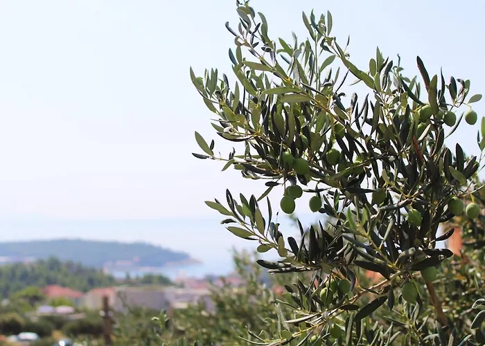 Вілла Kristina In With Private Pool, Bbq